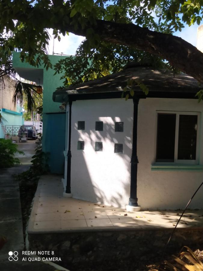 Apartamento La Casa Del Cenote